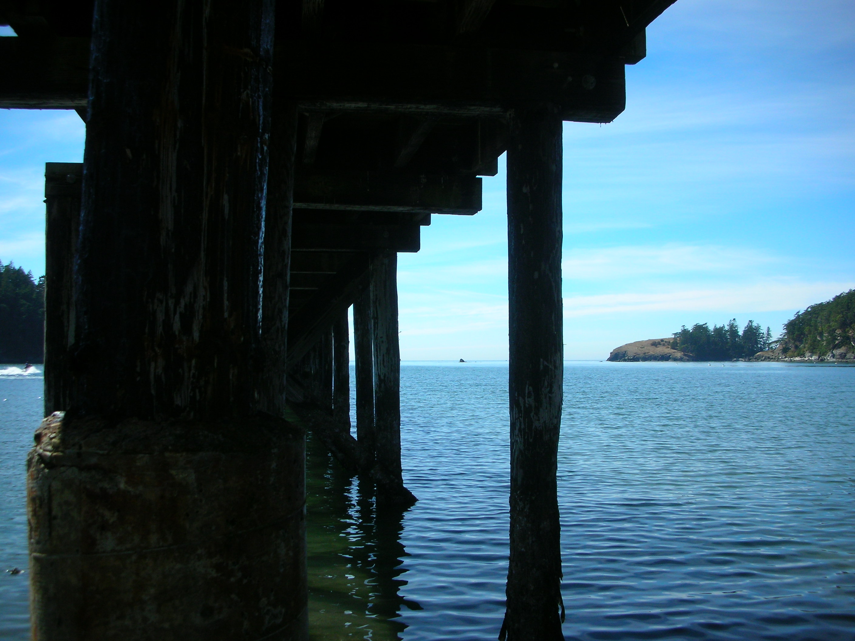 DSCN3721.jpg