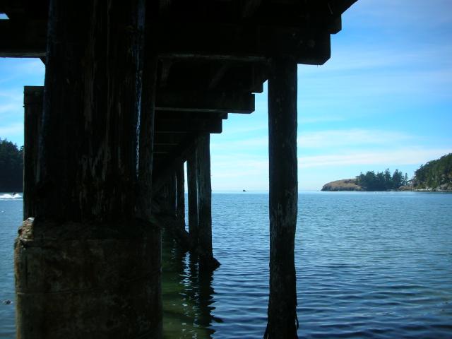 DSCN3721.jpg