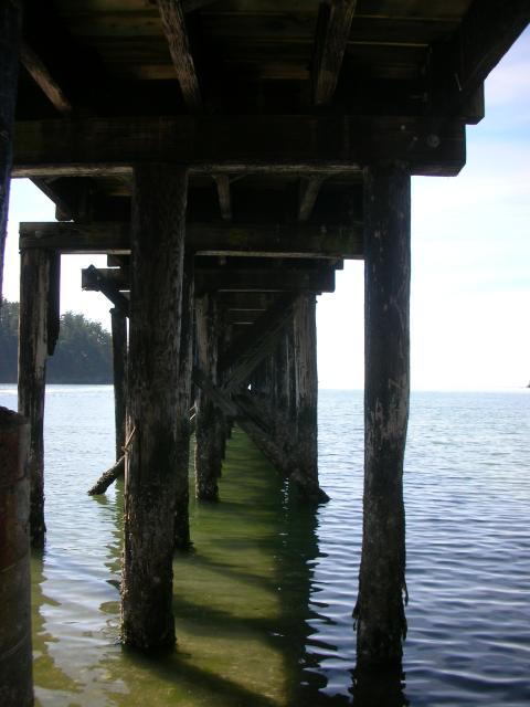 DSCN3722.jpg