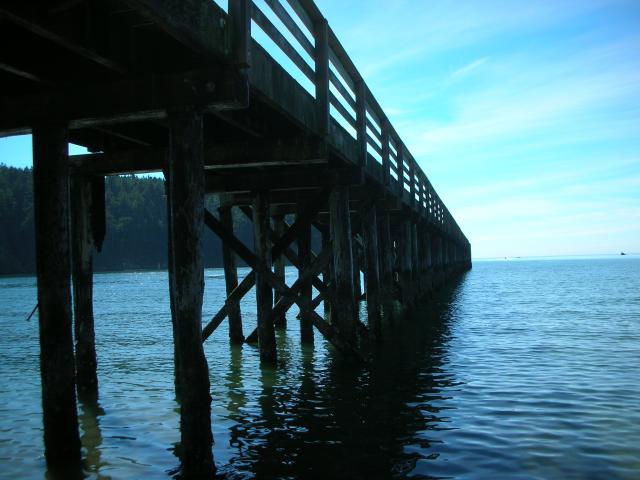 DSCN3723.jpg