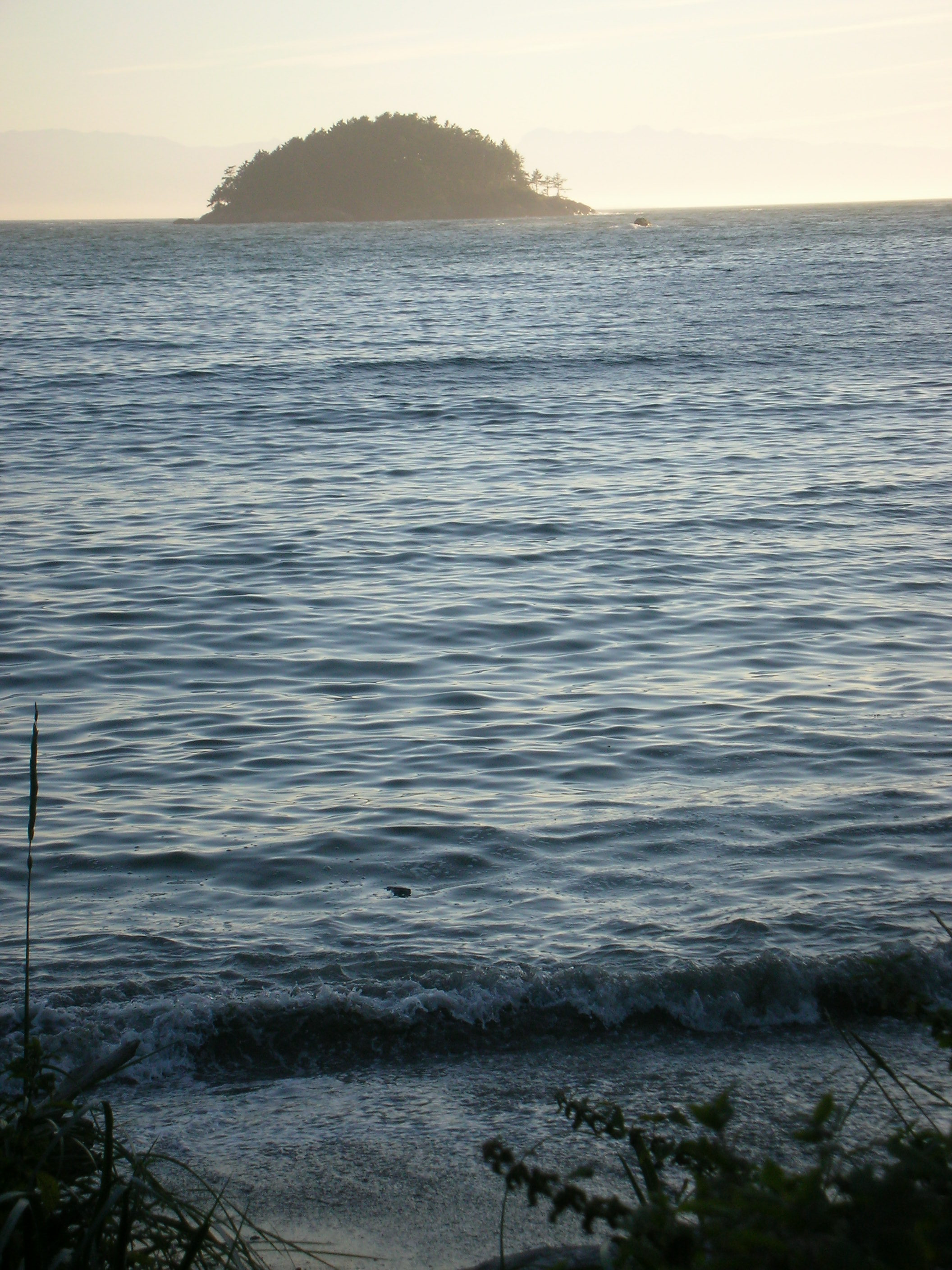 DSCN3726.jpg