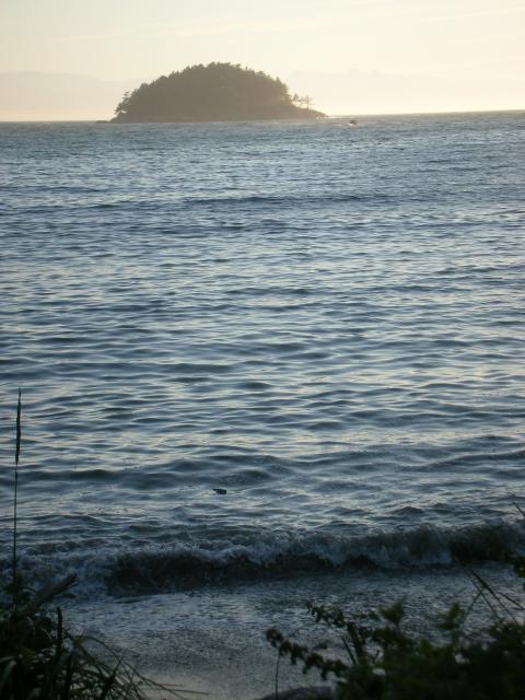 DSCN3726.jpg