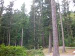 DSCN3729.jpg