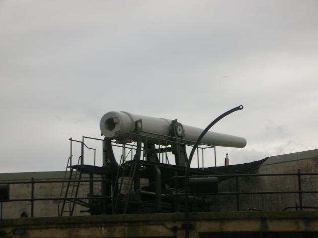 DSCN3739.jpg