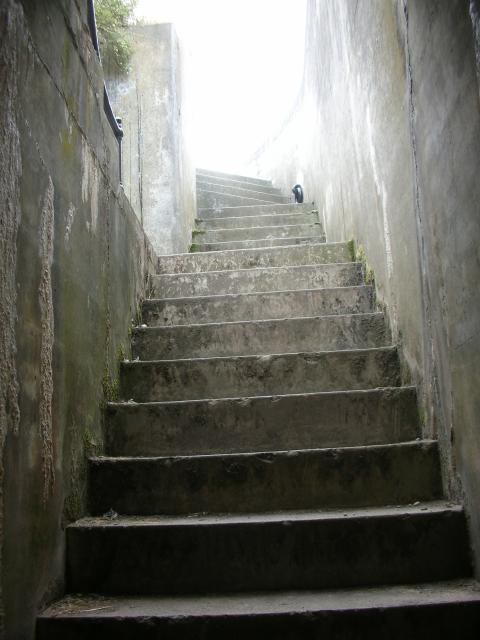 DSCN3767.jpg