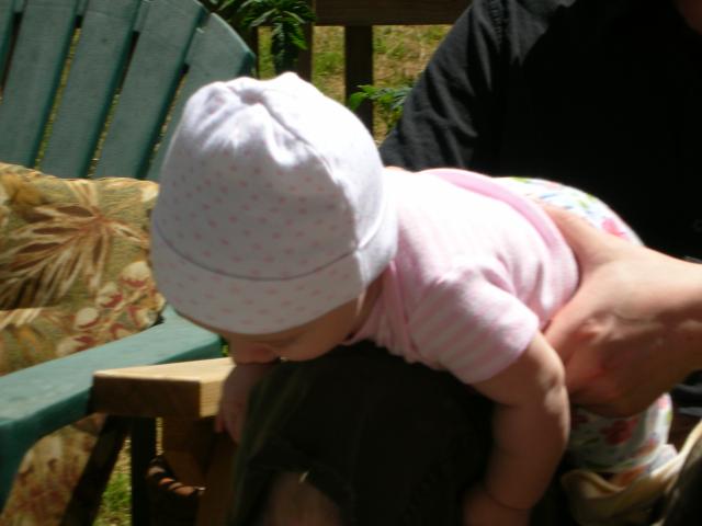 DSCN3392.jpg