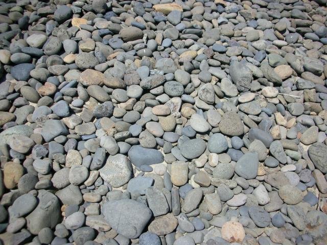 DSCN3410.jpg
