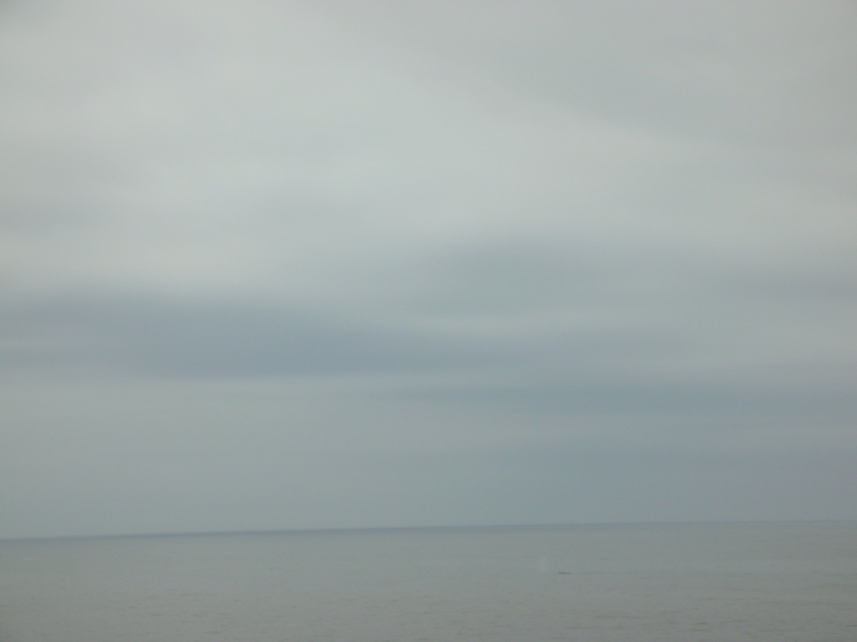 DSCN3416.jpg