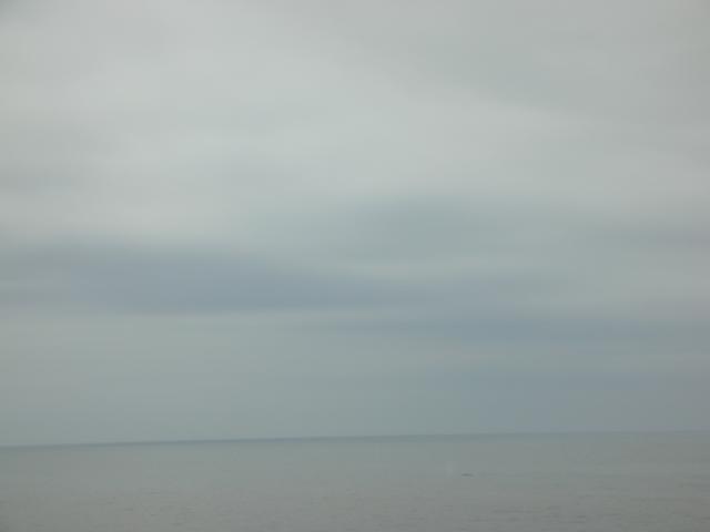 DSCN3416.jpg