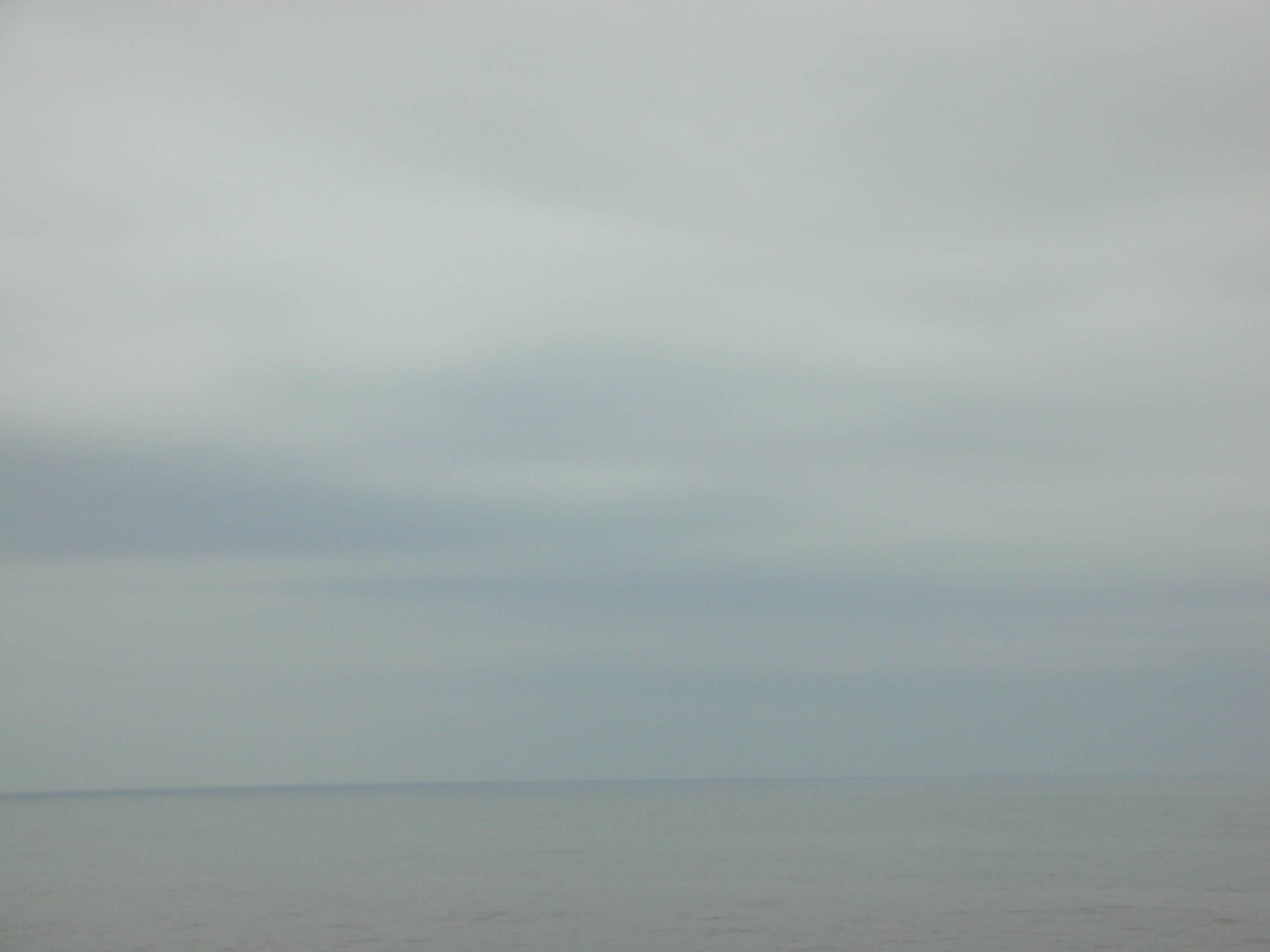 DSCN3417.jpg