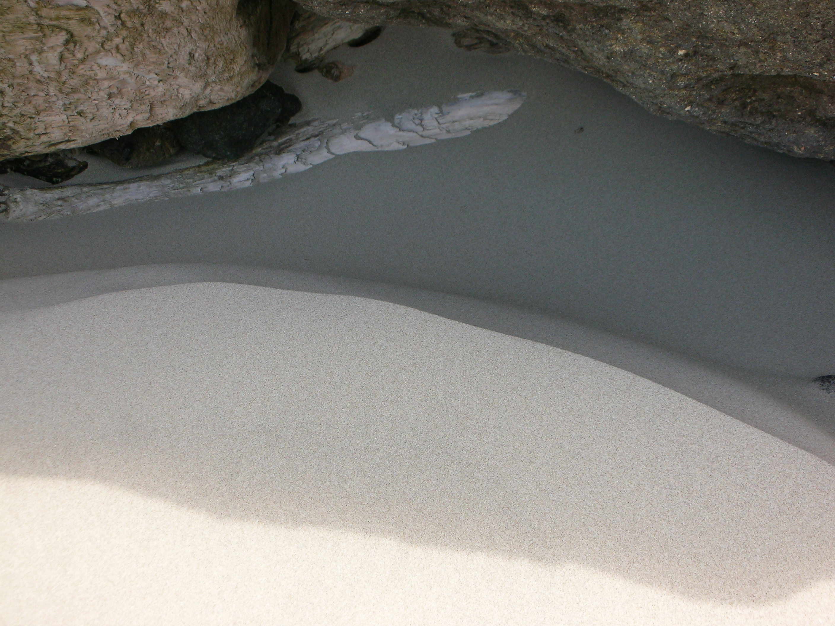 DSCN3419.jpg