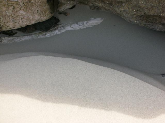 DSCN3419.jpg