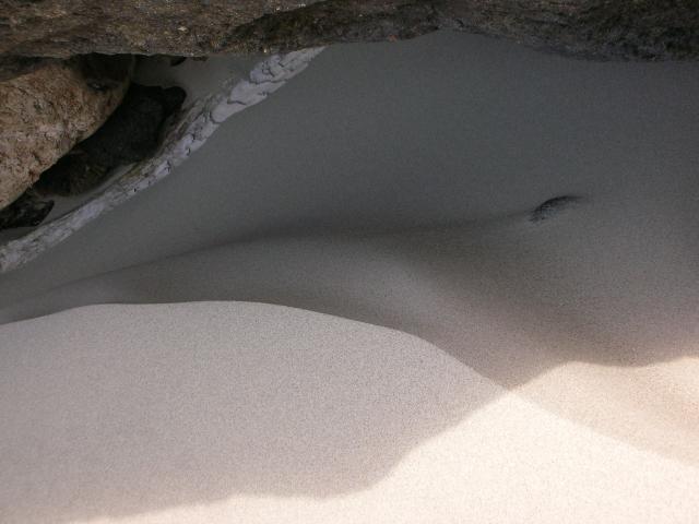 DSCN3420.jpg