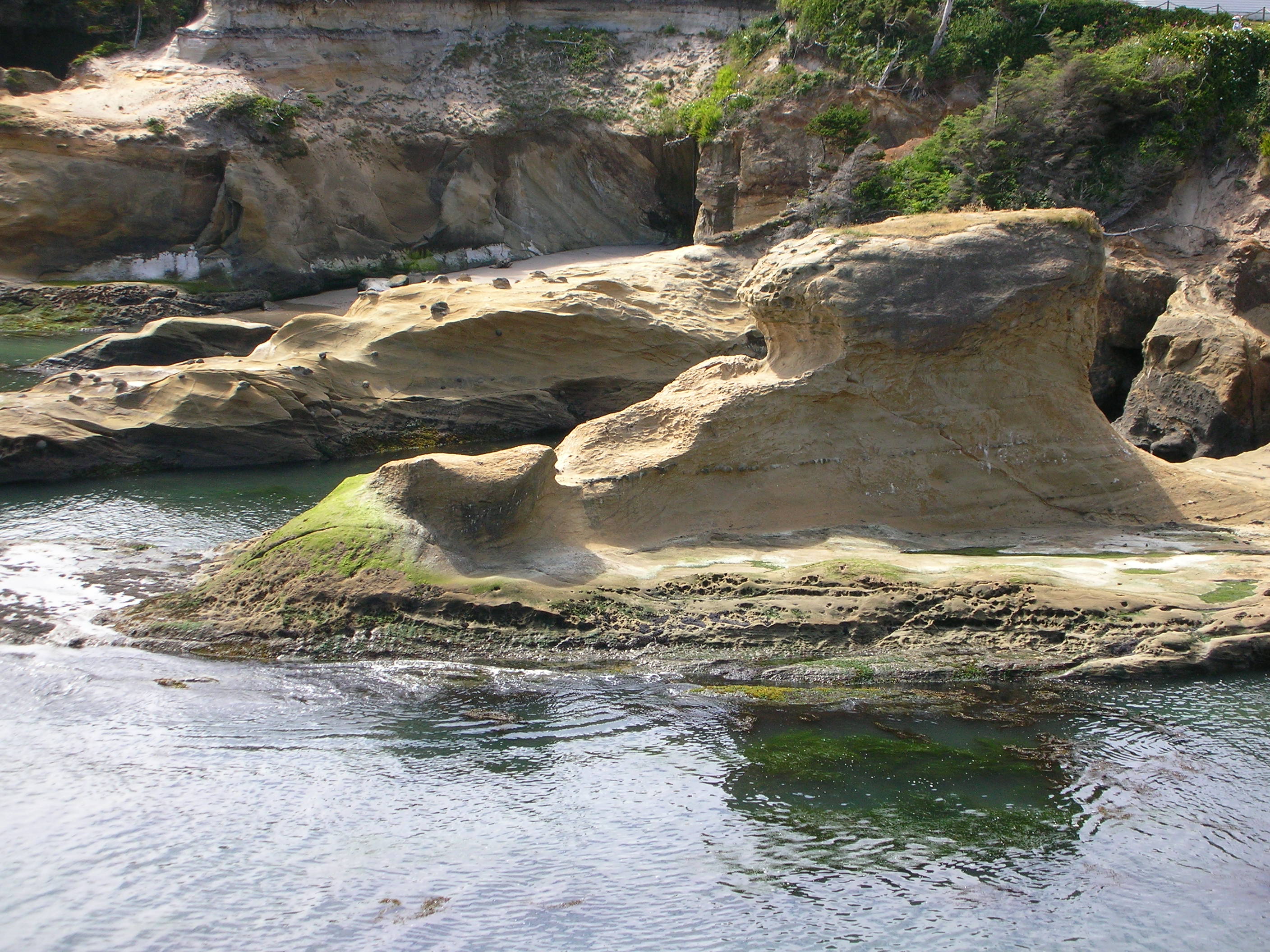 DSCN3422.jpg
