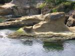 DSCN3422.jpg