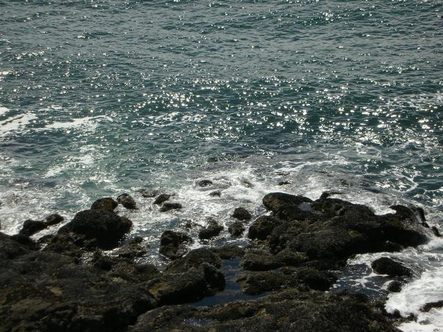 DSCN3426.jpg