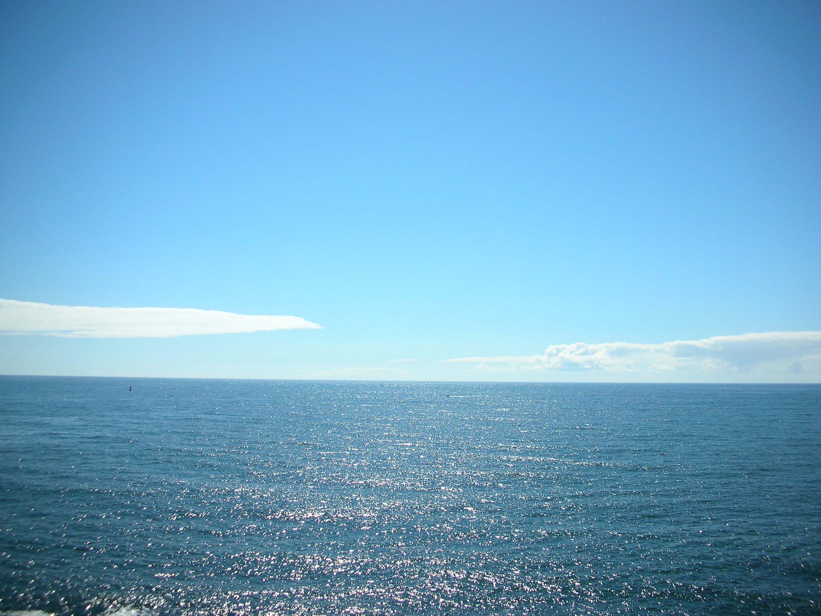 DSCN3428.jpg
