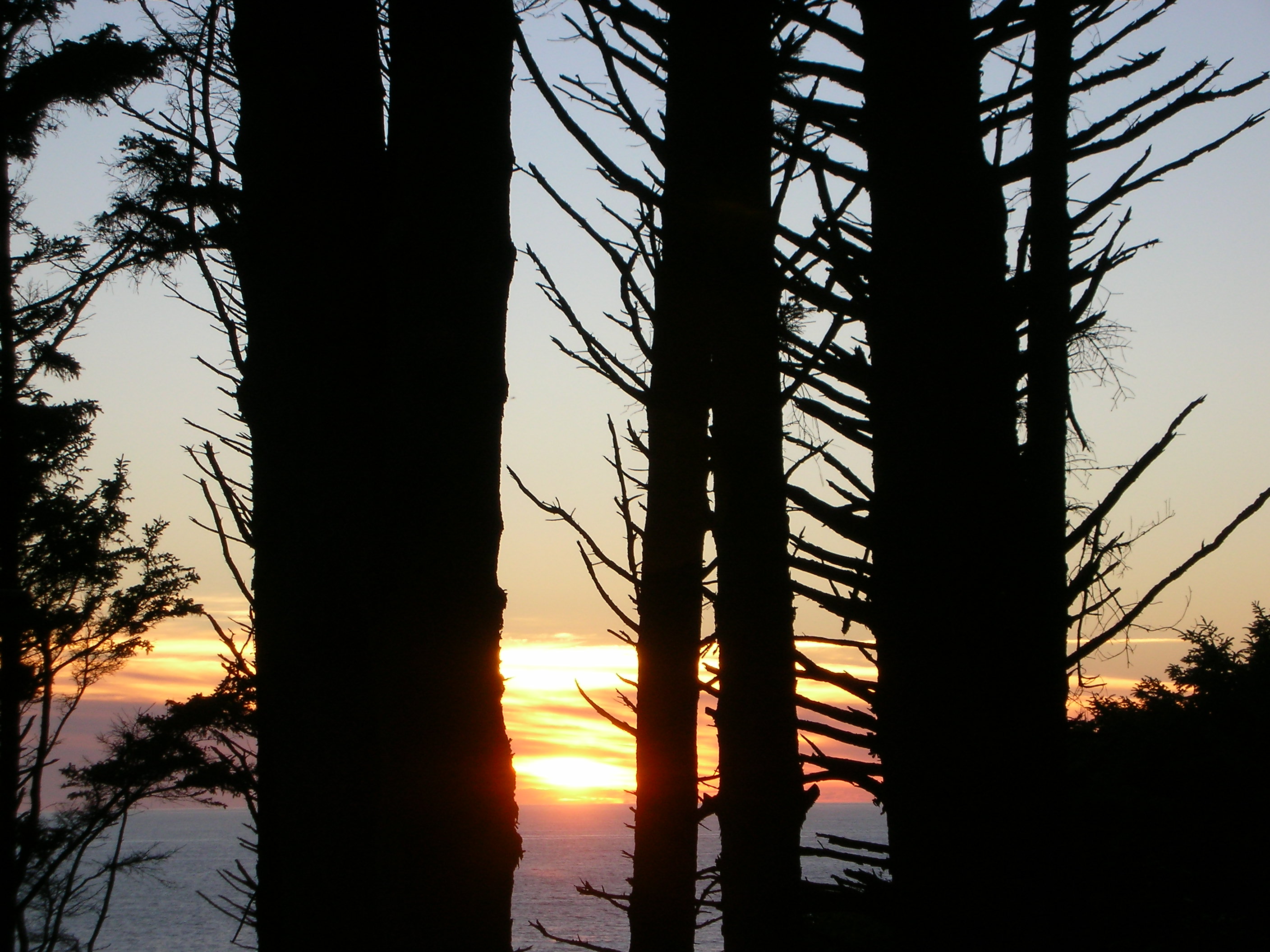 DSCN3430.jpg