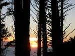 DSCN3430.jpg