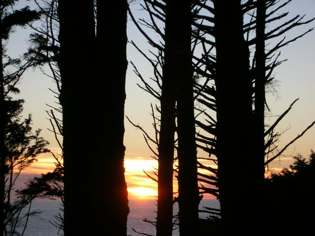 DSCN3430.jpg