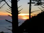 DSCN3431.jpg