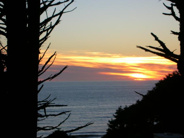DSCN3432.jpg