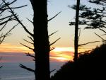 DSCN3433.jpg