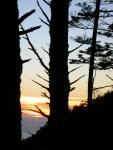 DSCN3434.jpg