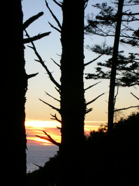 DSCN3434.jpg
