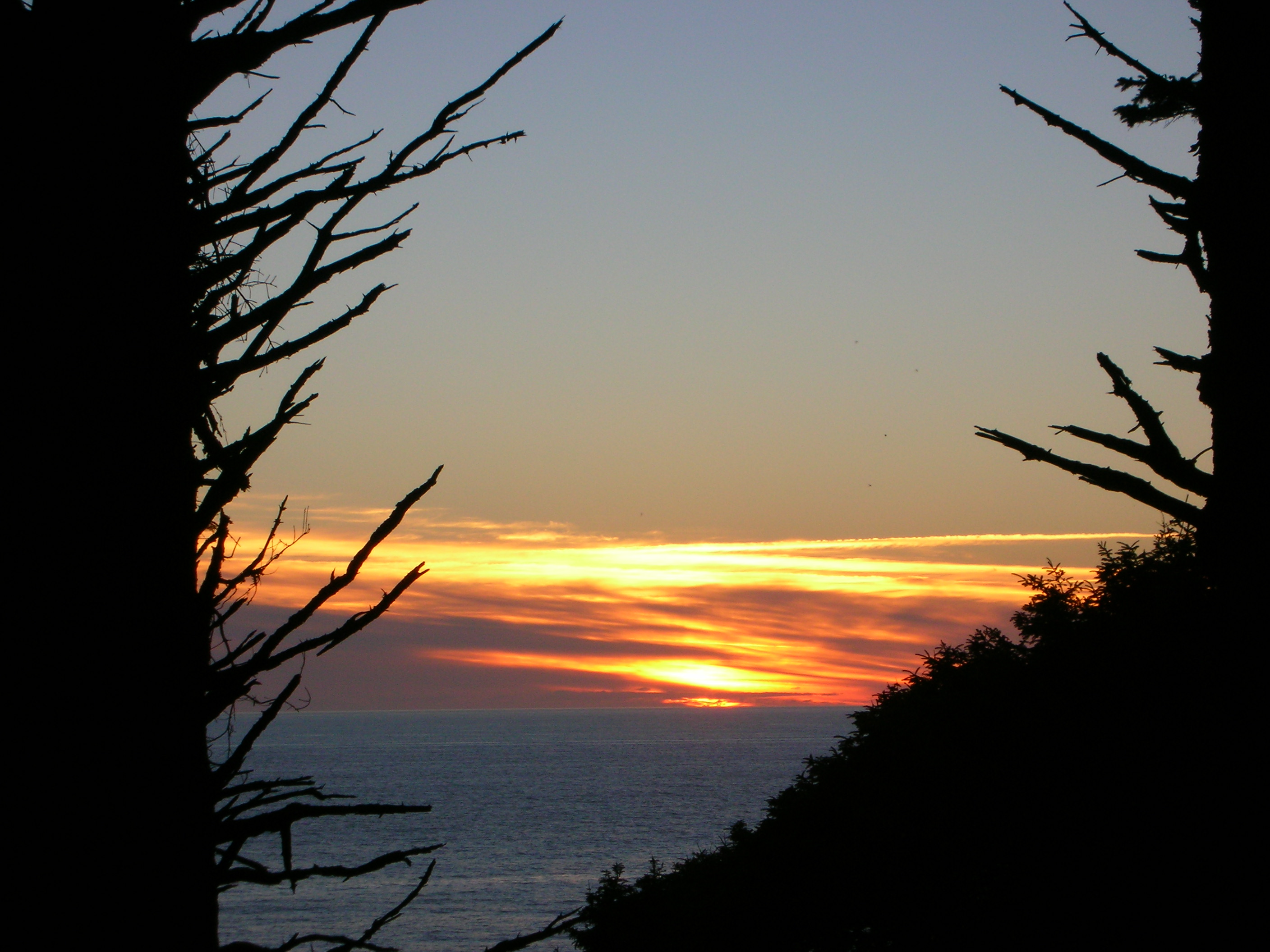 DSCN3435.jpg