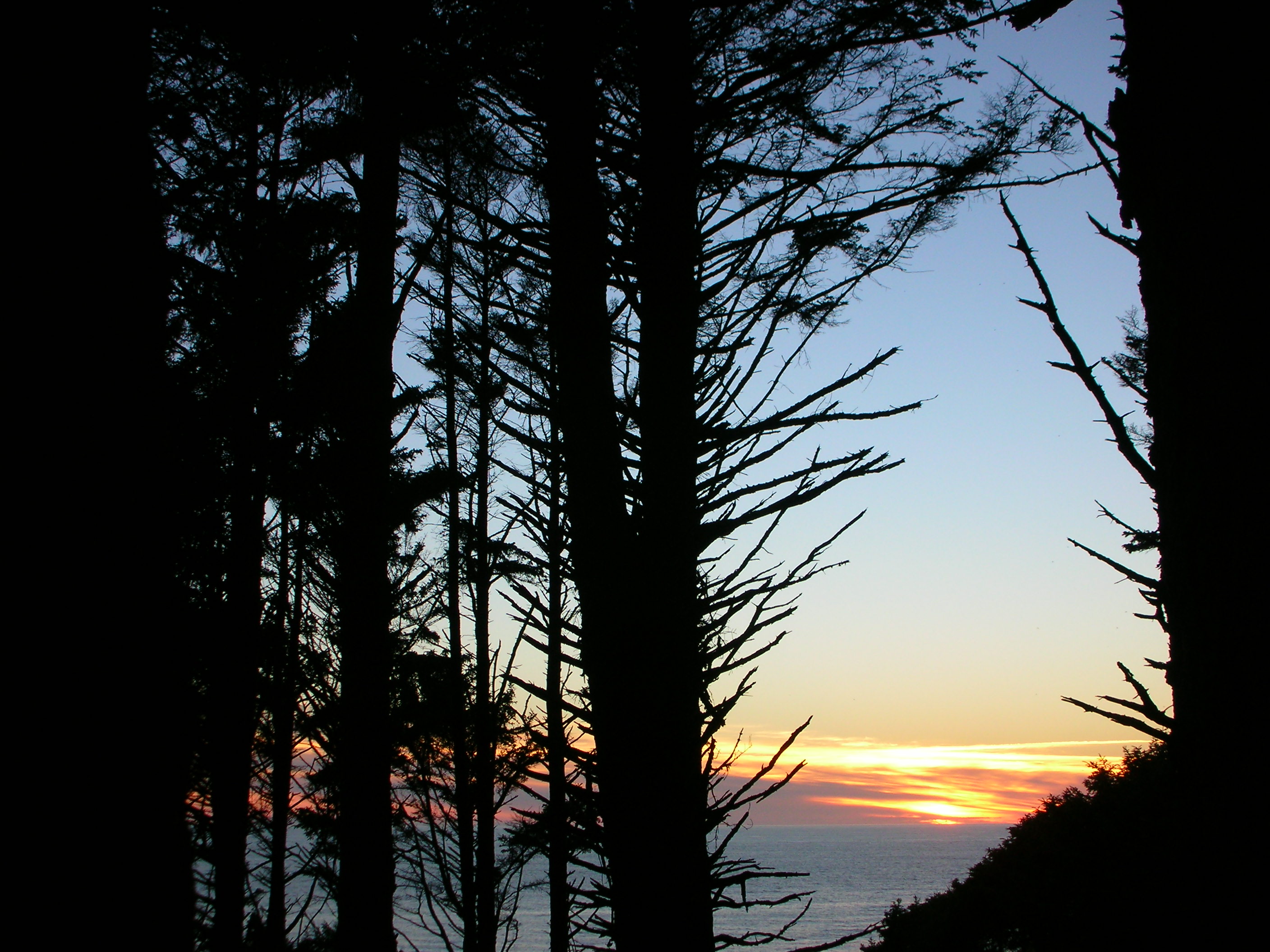 DSCN3436.jpg