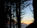DSCN3436.jpg