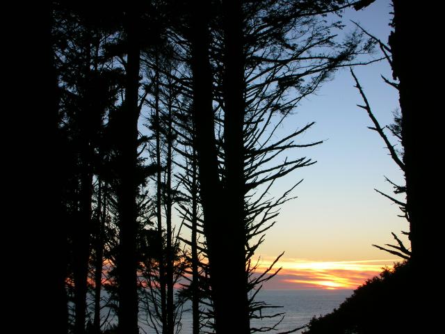 DSCN3436.jpg