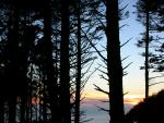 DSCN3437.jpg