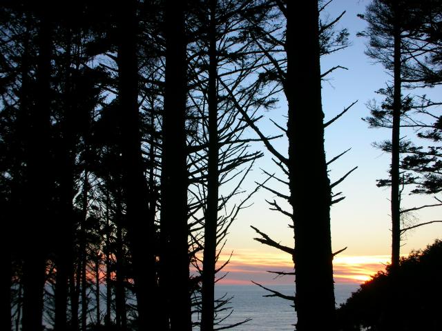 DSCN3437.jpg
