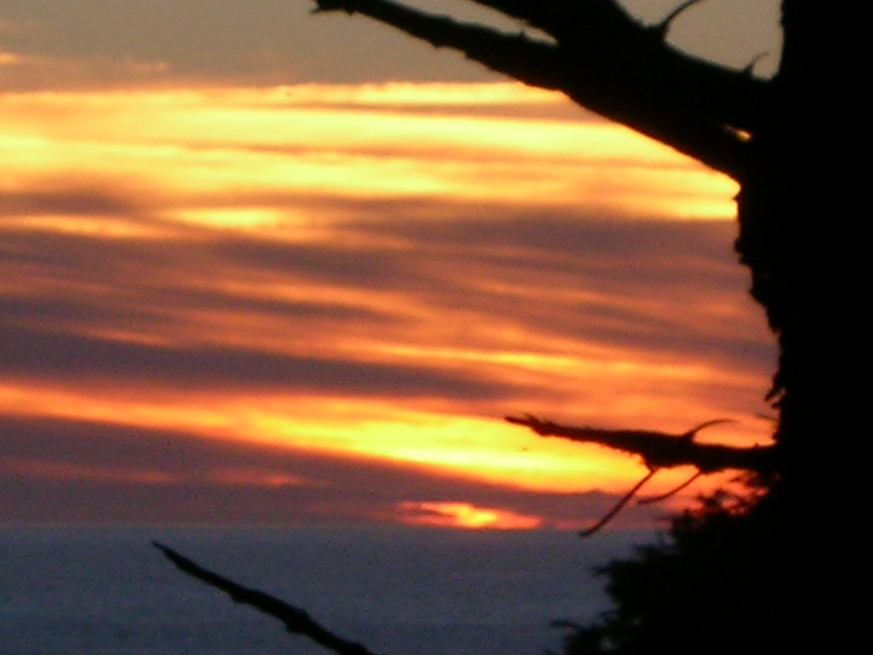 DSCN3441.jpg