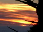 DSCN3441.jpg