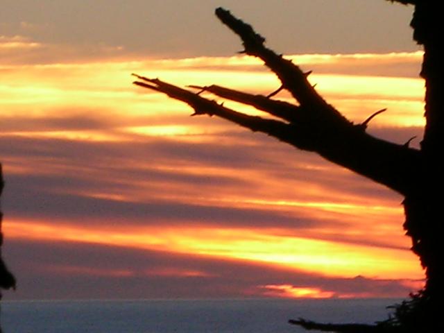 DSCN3442.jpg