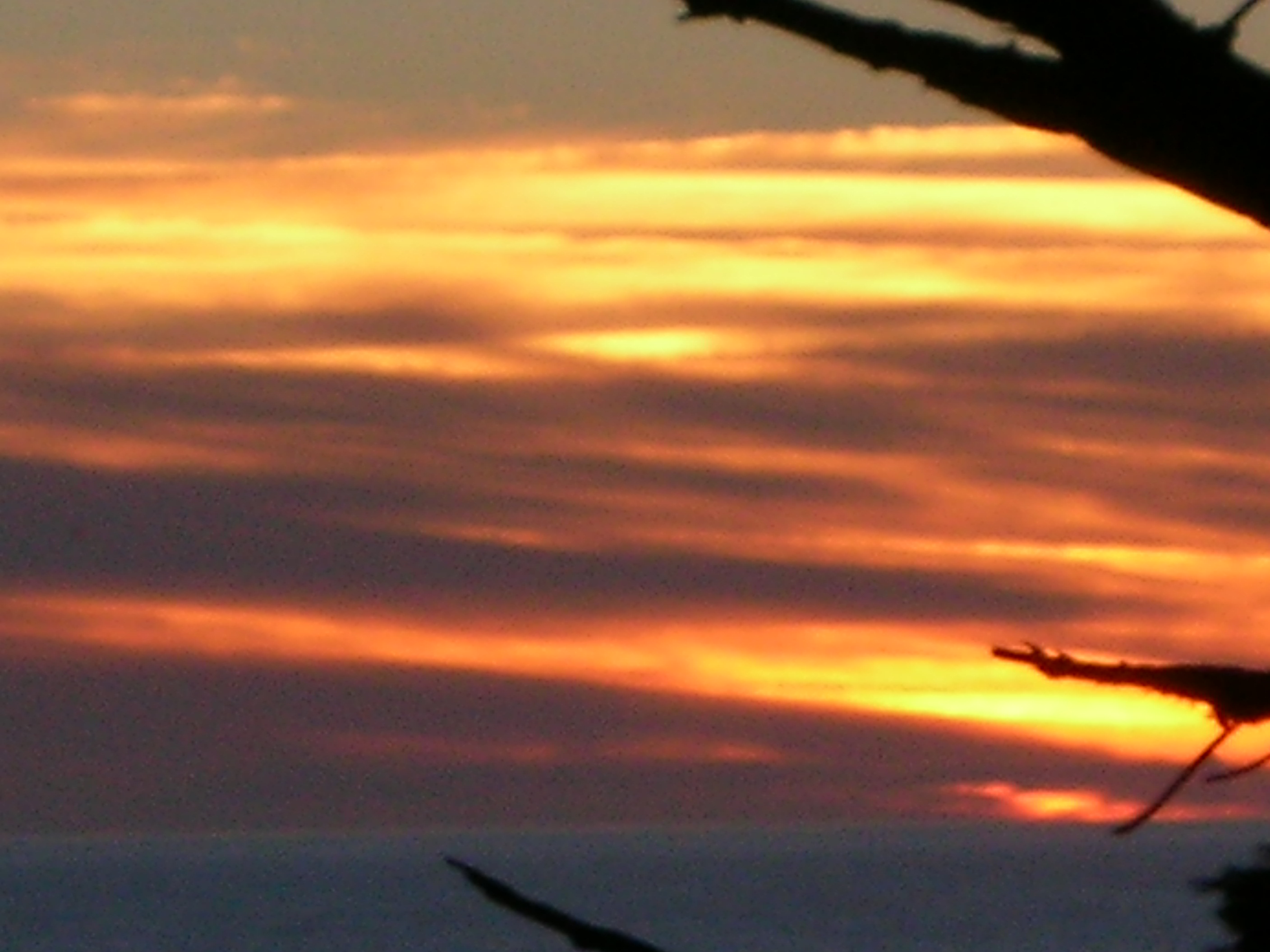 DSCN3443.jpg