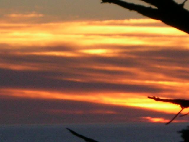 DSCN3443.jpg