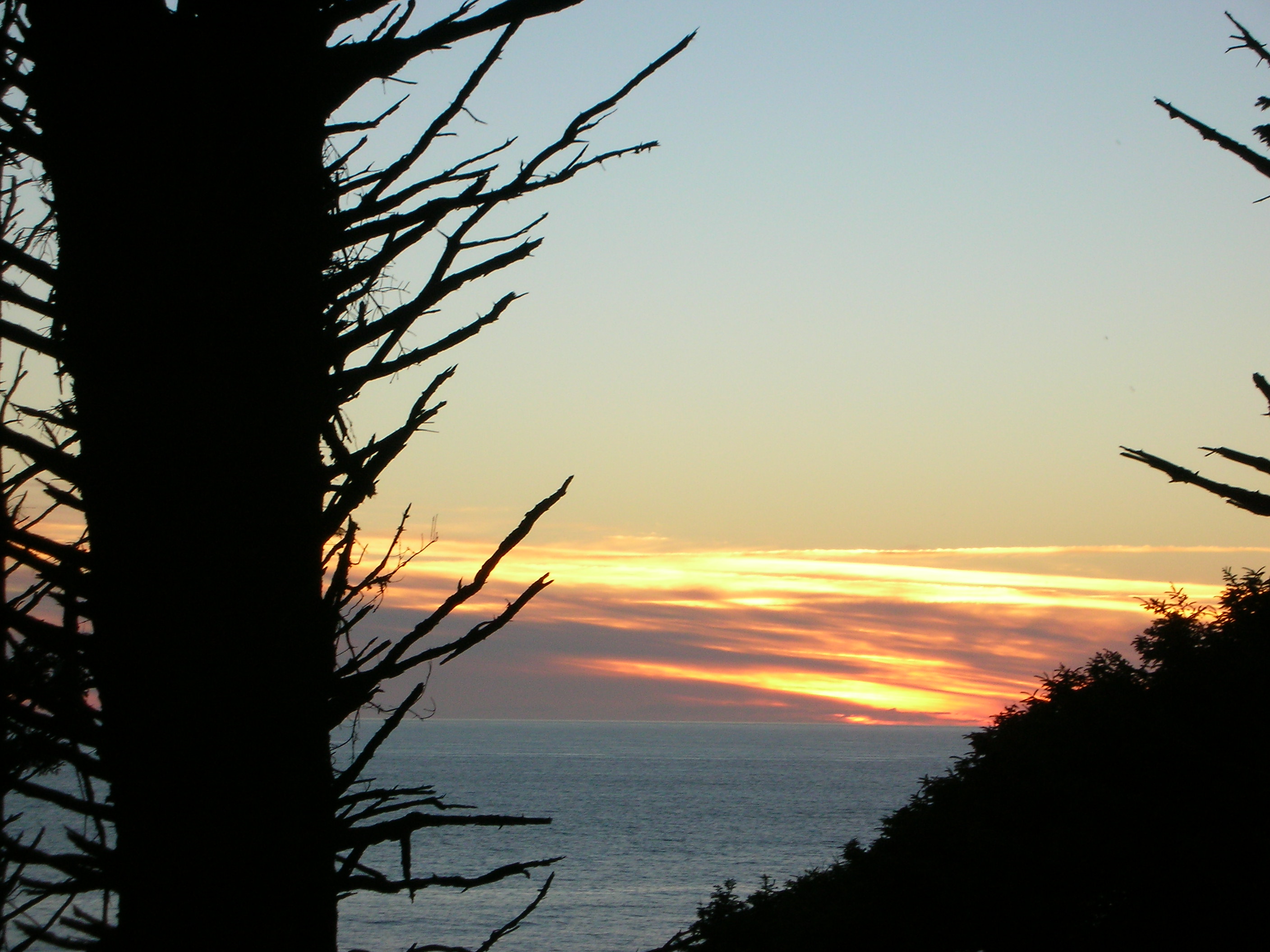 DSCN3445.jpg