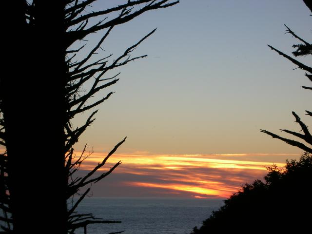 DSCN3446.jpg