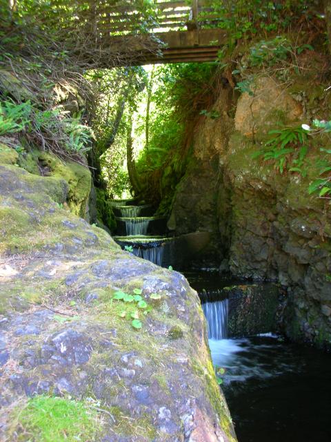DSCN3465.jpg