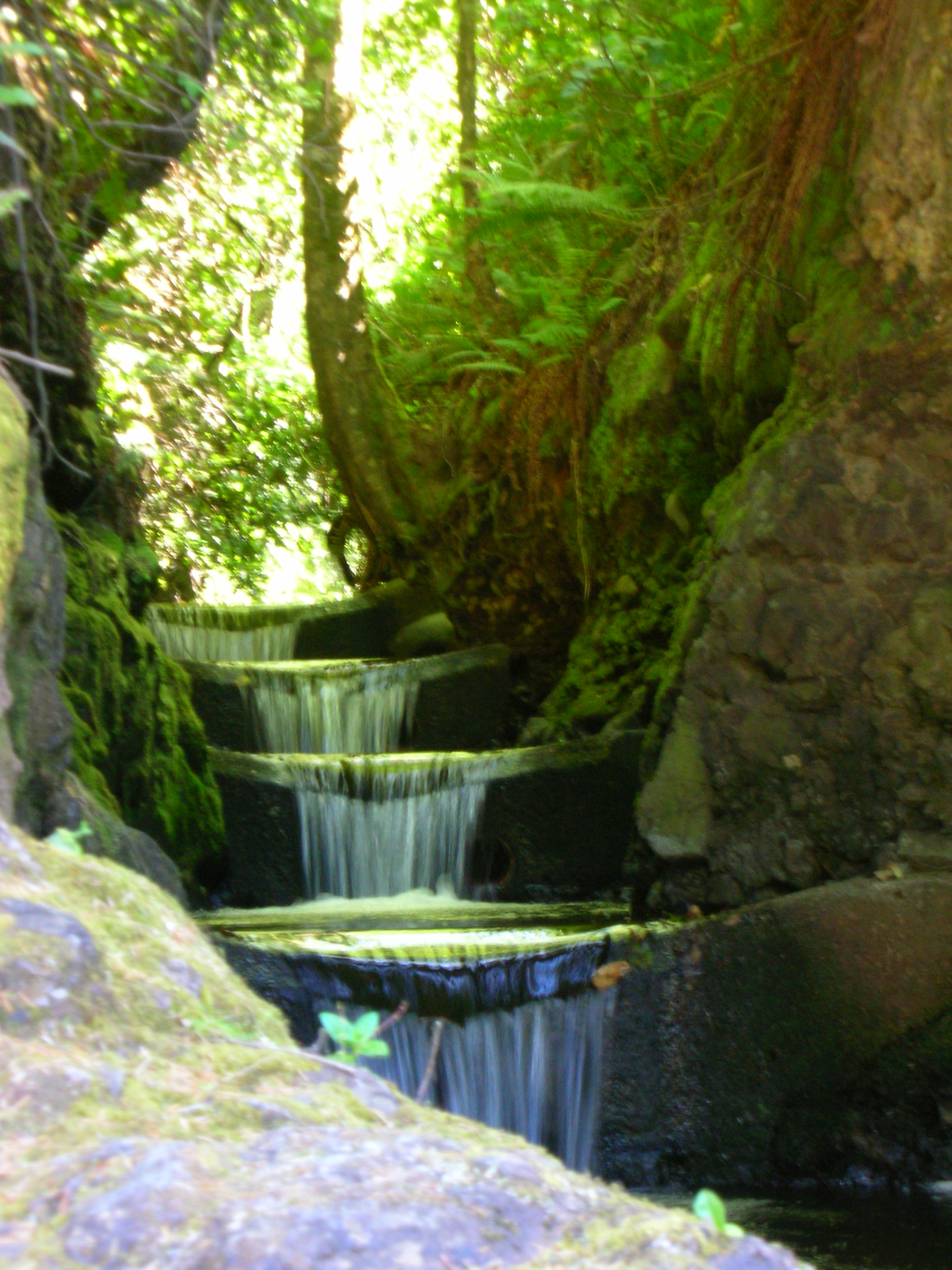 DSCN3466.jpg