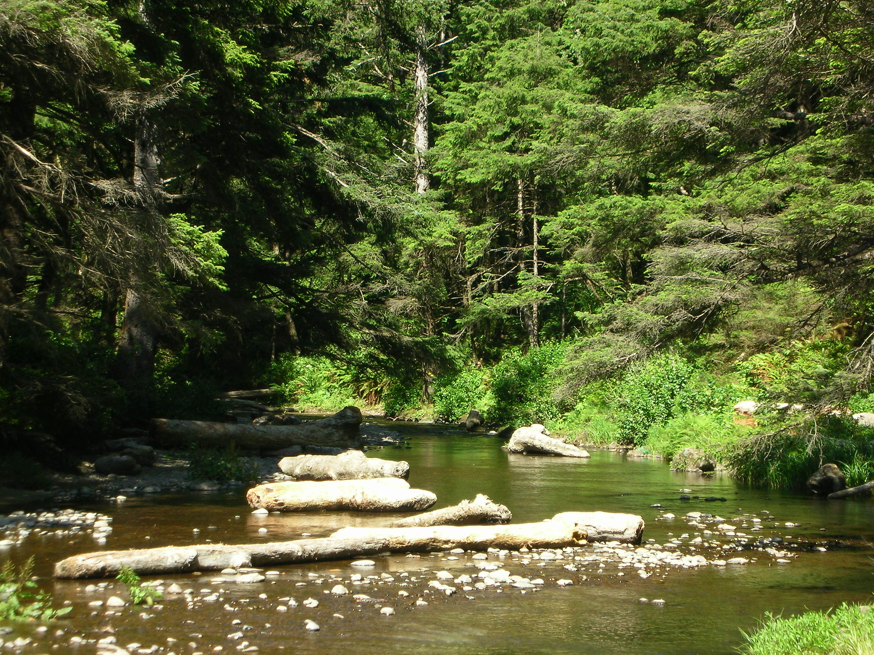 DSCN3467.jpg