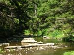 DSCN3467.jpg