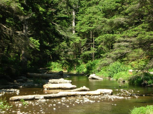 DSCN3467.jpg