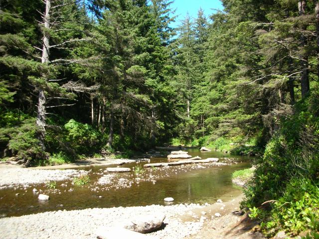 DSCN3469.jpg