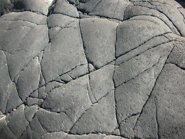 DSCN3470.jpg