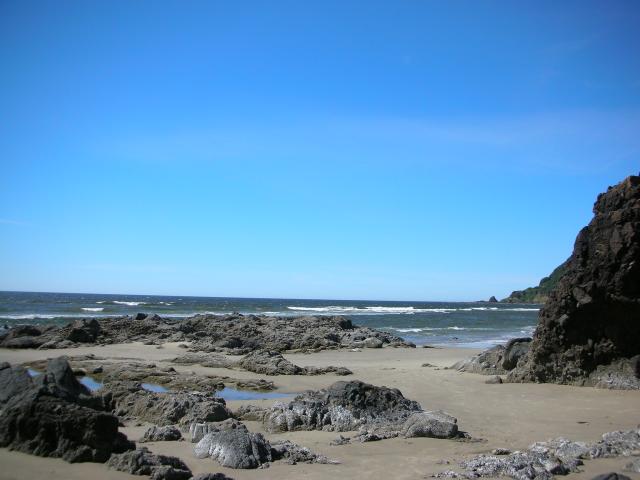 DSCN3471.jpg